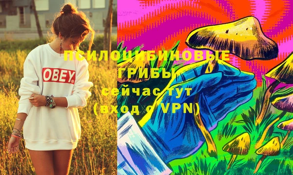 PSILOCYBIN Каменск-Шахтинский
