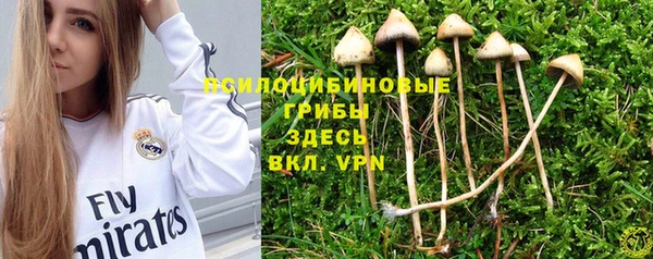 PSILOCYBIN Каменск-Шахтинский
