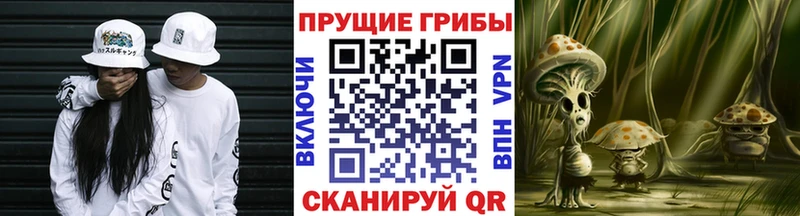 Галлюциногенные грибы Psilocybine cubensis Первоуральск