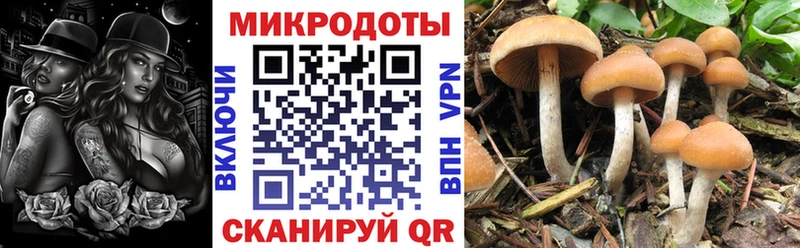 дарнет шоп  MEGA онион  Галлюциногенные грибы Cubensis  Первоуральск 